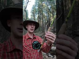 Fishing in SMALL Streams Can Be CRAZY!