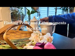 Finding calm moments during chaos