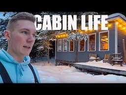 Wolves! Spring has arrived at the off-grid cabin!