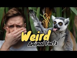 15 Weird Animal Facts That are Fun at Parties!