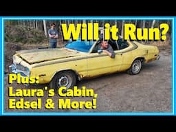 Out of the Trees! Will this 1975 Dodge Dart Parts Car Start? Plus: Edsel, and Laura"s Cabin Update!