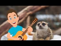 Happy Birthday, Meerkats!