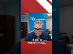 Mark Chalmers: Securing Global Rare Earths Supply #investing #financialplanning #finance #money