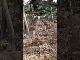 Spring seeding with the John Deere 1830. #crh