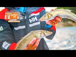 Catch BIG Ocean Whiting - Tips & Tricks