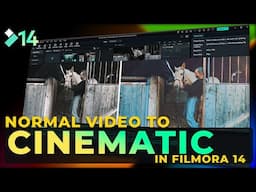 From Normal to Hollywood: Cinematic Color Grading in Filmora