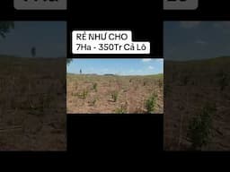 Anh chị quan tâm alo em 0819444555