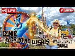 Wish Wheel at Disney World #live