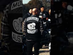 Mongols MC convoy stopped under Operation Blue Ember #gridsparta #bikies #mongolsmc