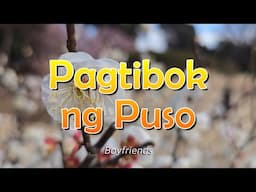 PAGTIBOK NG PUSO - (Karaoke Version) - in the style of Boyfriends