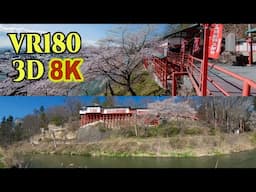 [ 8K 3D VR180 ] 崖の満開の桜と懸造りの鼻顔稲荷神社（長野県 佐久市）Hanazura Inari Shrine built on the side of a cliff