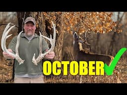 Do This NOW To Tag Mature Bucks in OCTOBER