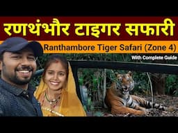 Ranthambore Tiger safari | Zone 4 | Ranthambore National Park | Ranthambore Safari - Sawai Madhopur