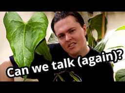 Repot & REAL Chat/Talk | 2 Passions, Health, Luigi, Censorship