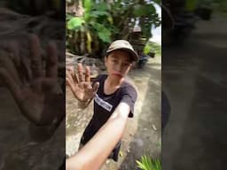 #dayakterbaru #youtubeshorts #gadisdayak #pesonagadisdayak #iban #dayak