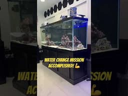 Yes, I’m keeping my day job 😁#aquarium #aquariums #aquariumhobby #aquariumfishes #aquariumlife