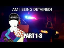 Mister Metokur - Am I Being Detained Part 1-3 [2017-2019]