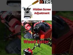 Master The Hidden 'LOW' Screw That Controls Your Weed Eater Strimmer