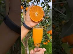 The Most delicious Fruits Combinations 🍎🍊🍉🍓 #shorts #nature #fruit