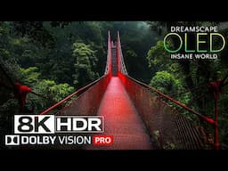8K MAX RESOLUTION! Dolby Vision™ HDR COLORS (60 FPS) - Peaceful Relaxing Film