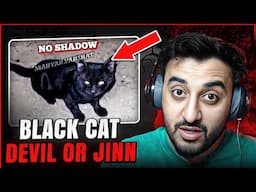 SPOOKY BLACK CAT : DEMON OR JINN || Aamer's Den