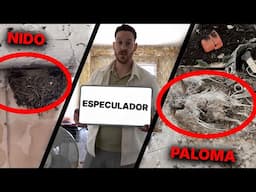 Compramos piso con Palomas Muertas - Lo llaman Especulación