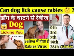 Can dog lick cause rabies 🤔 ? || क्या डॉग के चाटने से रेबीज़ हो सकता है 🤔 ? || Rabies Awareness 🚨