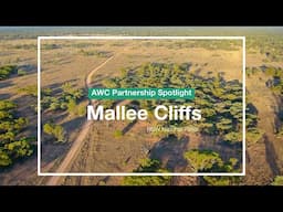 Partnership Spotlight: Mallee Cliffs National Park (NSW)