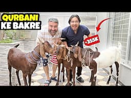 Qurbani Kay Janwar Le Liye 😍 | Achay Main Sauda Hogya