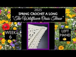 2025 Spring CAL- Week 6: “Wildflower Oasis Throw”(Left Hand)