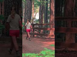 Clearwater Falls: Perfect Waterfall Hike Around Crater Lake National Park!