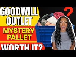 My Best Goodwill Palette Yet?! I Can’t Believe What Was Inside 🤯 #reselling