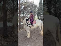 Horse Transformation