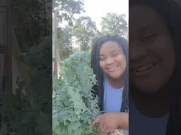 Let's Grocery Shop From Our Backyard