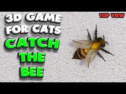 3D game for cats | CATCH THE BEE (top view) | 4K, 60 fps, stereo sound