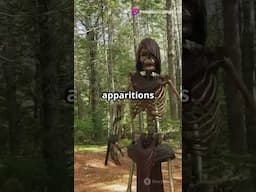Hikers Attacked by This! #shorts