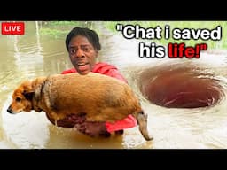 15 Times Streamers Saved Animals Lives...