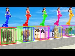 Cow Elephant Lion Gorilla T-Rex Don’t Choose The Wrong Mermaid Animals Crossing Fountain Jail Escape