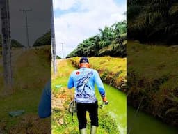 apapun ceritanya tetap semangat dan pantang menyerah #fishing #mancingmania #mancing #uqi2017