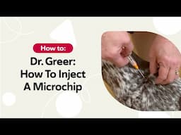 How to Inject a BuddyID® Microchip | Dr. Marty Greer Demonstrates Safe Pet Microchipping