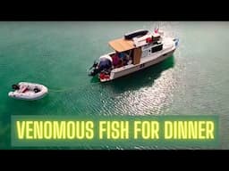 VENOMOUS FISH AND DINGY PROBLEMS -  Tiny Boat Living on our Ranger Tug R25 - Ep 65