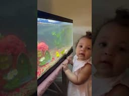 Elana sees her new fish for the first time. #baby #babygirl #excited #happybaby #aquarium #fish