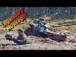 Gen 3 Outlander First Muskeg Rip Ever!!
