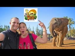 Así es OASIS WILDLIFE Fuerteventura 2025 | Parque de Animales de Fuerteventura | Canarias - España