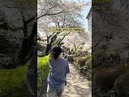 Cherry Blossoms in Tokyo but NO CROWDS 😮