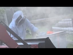 Moving Bees Before Construction