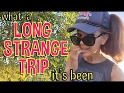 WHAT HAPPENED?!? Heading Back From Australia: What a Long, Strange Trip It’s Been