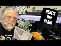 WISH ME LUCK *A MAJOR FISH ROOM SHIFT!* - *LIVE!*