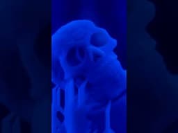 DIY 3D Printed Skull Beer Tap 💀