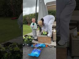 Gardening for the first time with my 4 year old | VLOG #carysharding #mom #vlog #familyvlog